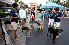 Adopt-a-pet event